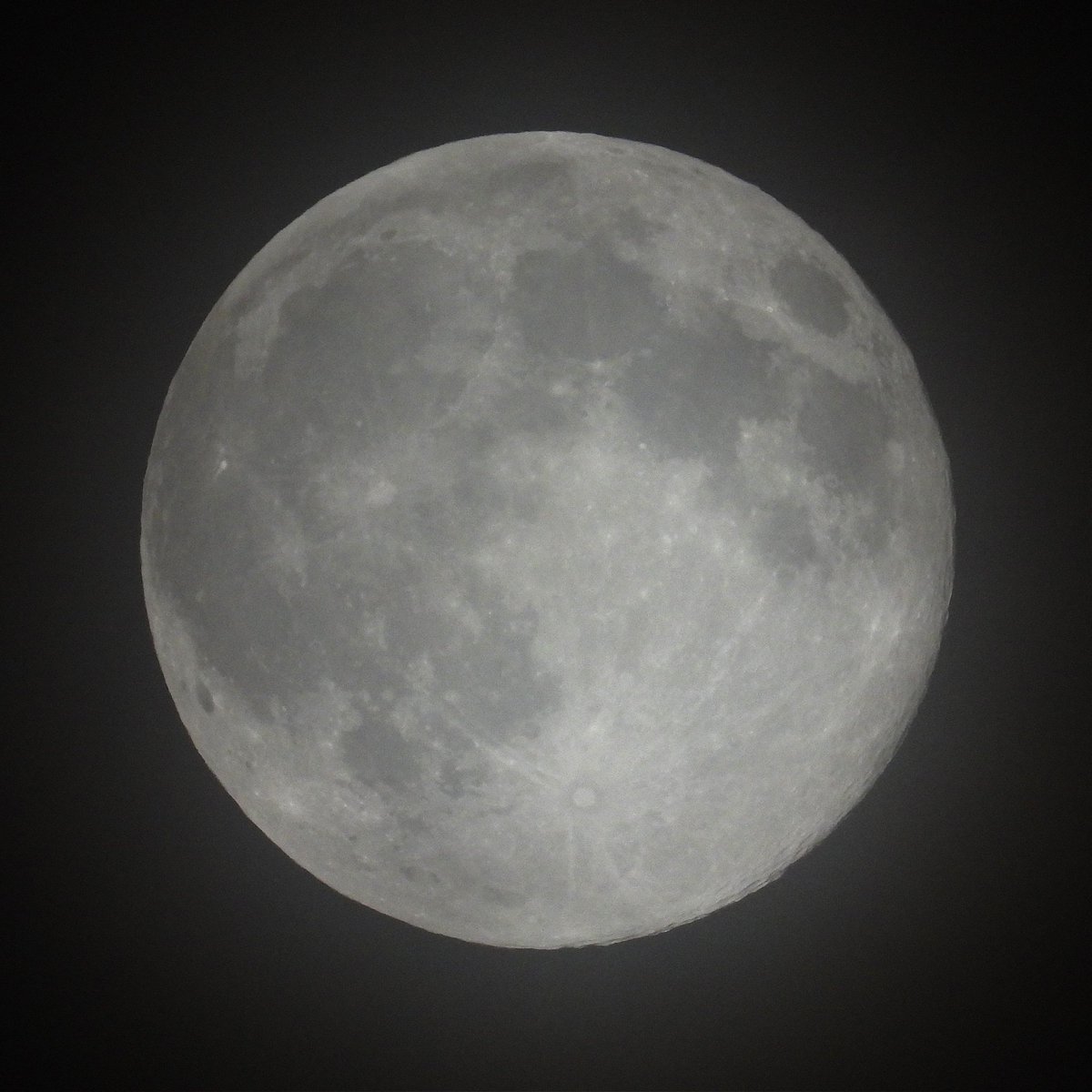 FunkyAppleTree's tweet image. Still Beavering away... #supermoon #BonfireNight #BeaverMoon #fullmoon 🦫🌝☁️ @StormHour @ThePhotoHour #LoveUKweather