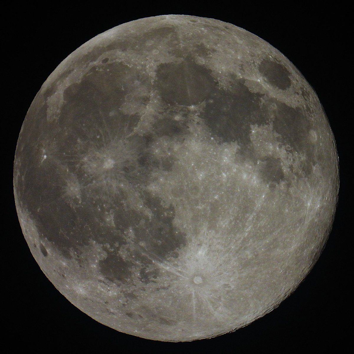 FunkyAppleTree's tweet image. Still Beavering away... #supermoon #BonfireNight #BeaverMoon #fullmoon 🦫🌝☁️ @StormHour @ThePhotoHour #LoveUKweather