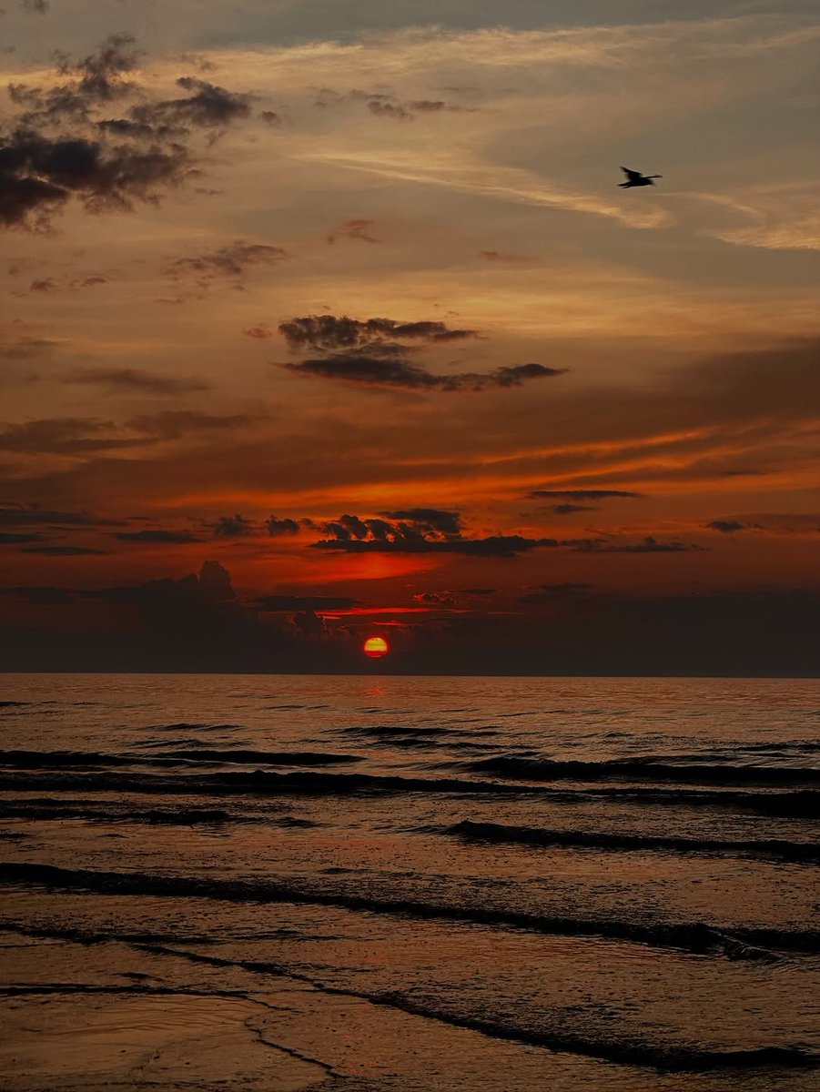 «من شبه المُستحيلّ أنك تشْوف الغُروبَ، ولا تحلم» :)