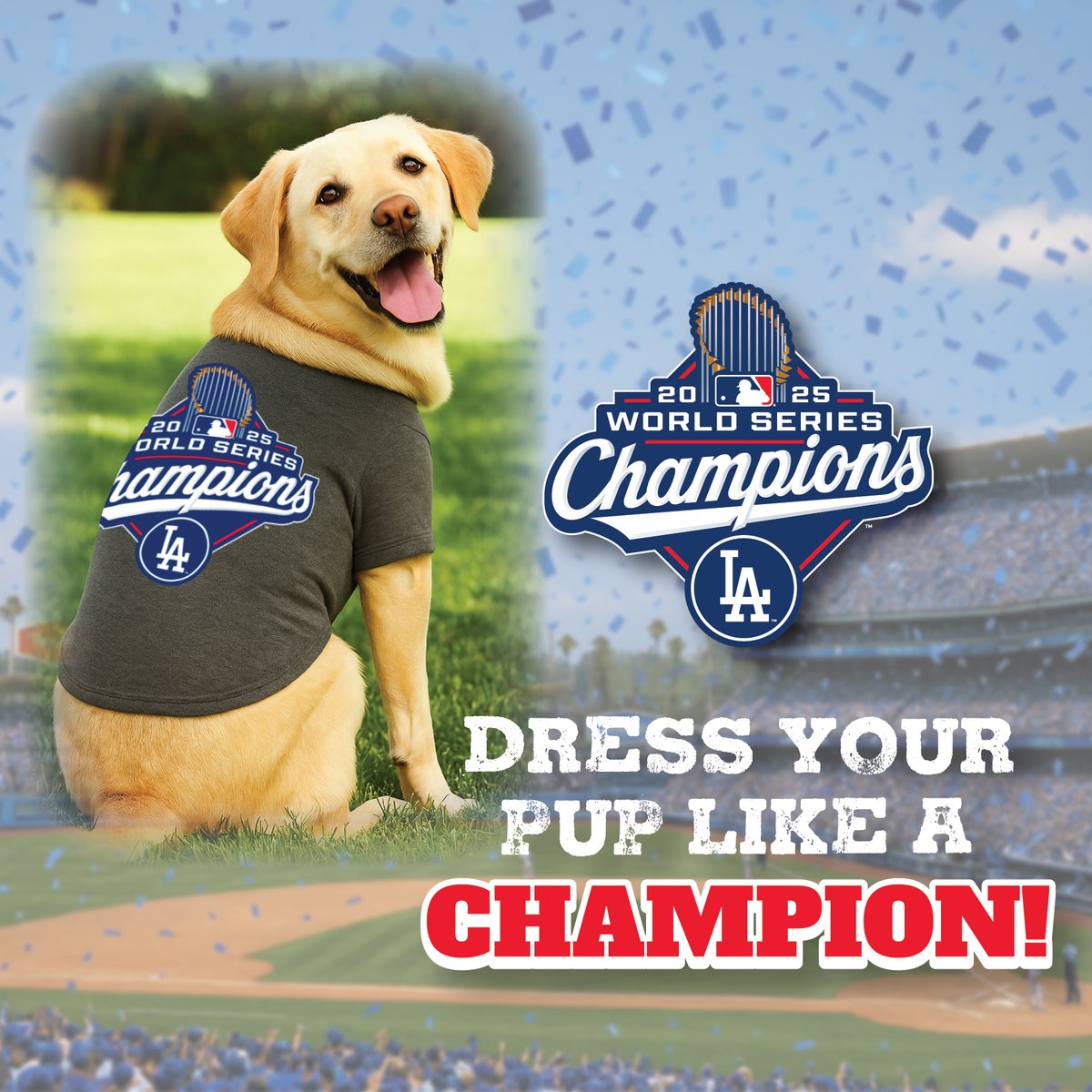 🚨 CHAMPS ALERT! 🚨
Congrats to the <a href="/Dodgers/">Los Angeles Dodgers</a> on an epic win! 🏆⚾
Celebrate like a true fan! Even your pup can join in with this 🐾💙
👉 Pets First #Angeles #Champions Baseball Tee for #Dogs &amp; #Cats: amazon.com/Pets-First-Ang… #Dodgers #DodgersWin #MLB #DogMom #DogDad #WorldSeries