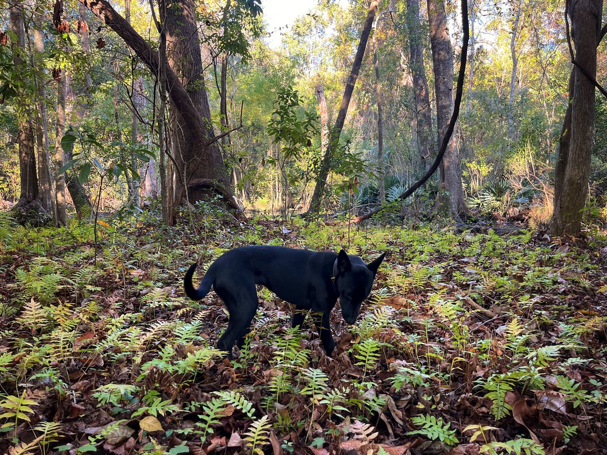 John Stortz tweet media