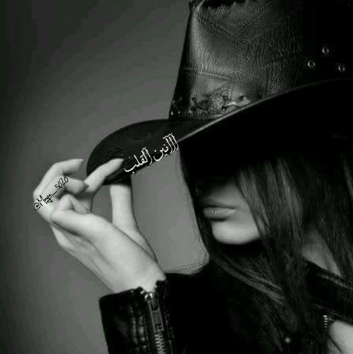 آآآنين القلب tweet media