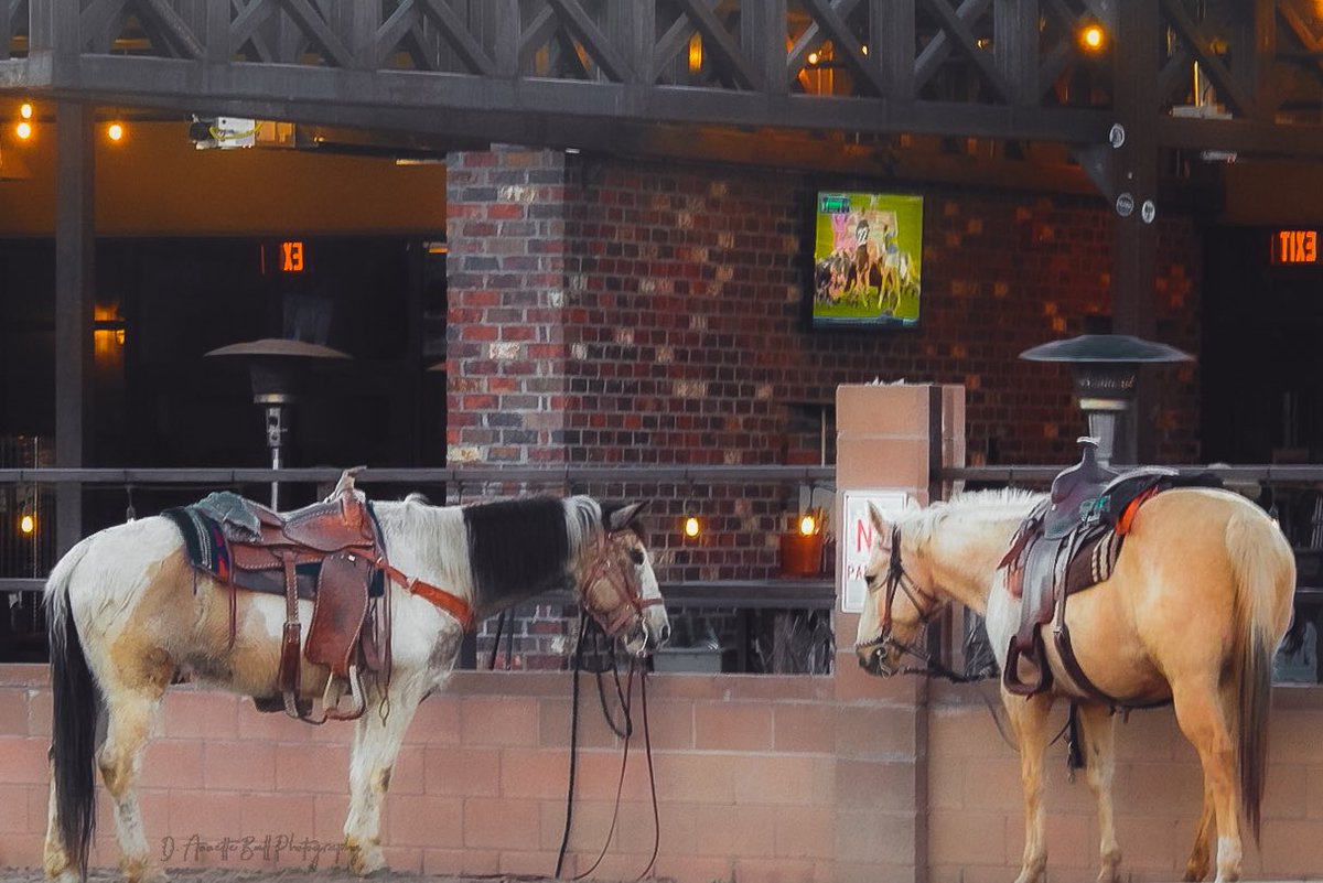 objetsdot's tweet image. Today’s photo theme is: Where I Live 🏞️🌉