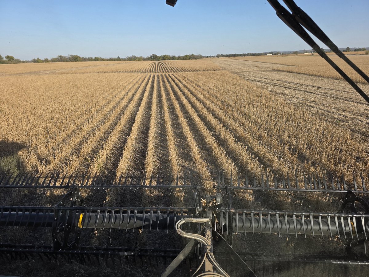 DanielEEdmonds's tweet image. 