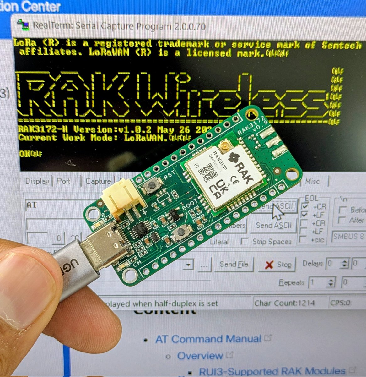 IObrizio's tweet image. It's alive 👾

#rak3172 #lorawan