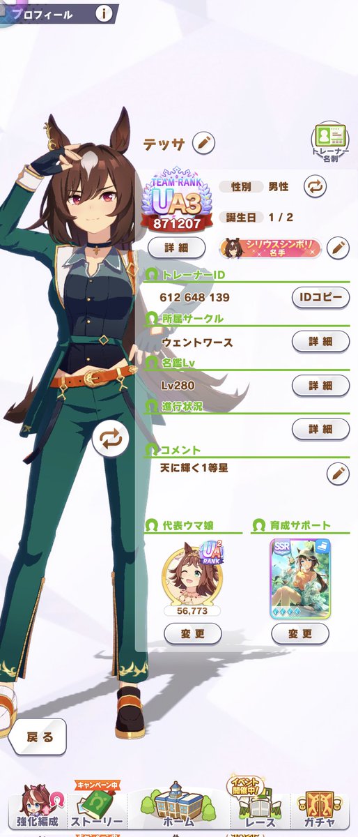 テイオー使ってねw