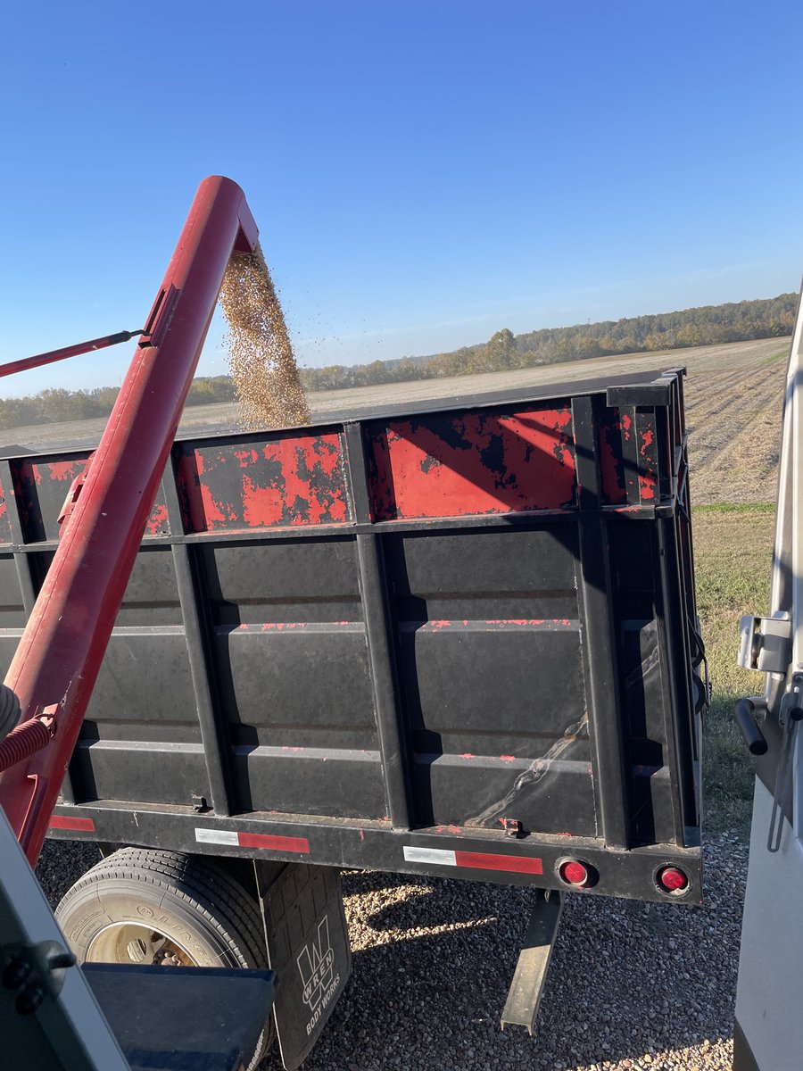 Mike Mulvaney tweet media