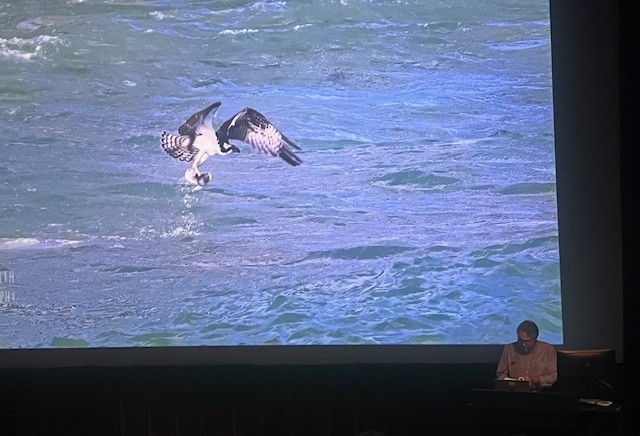 David Gessner tweet media