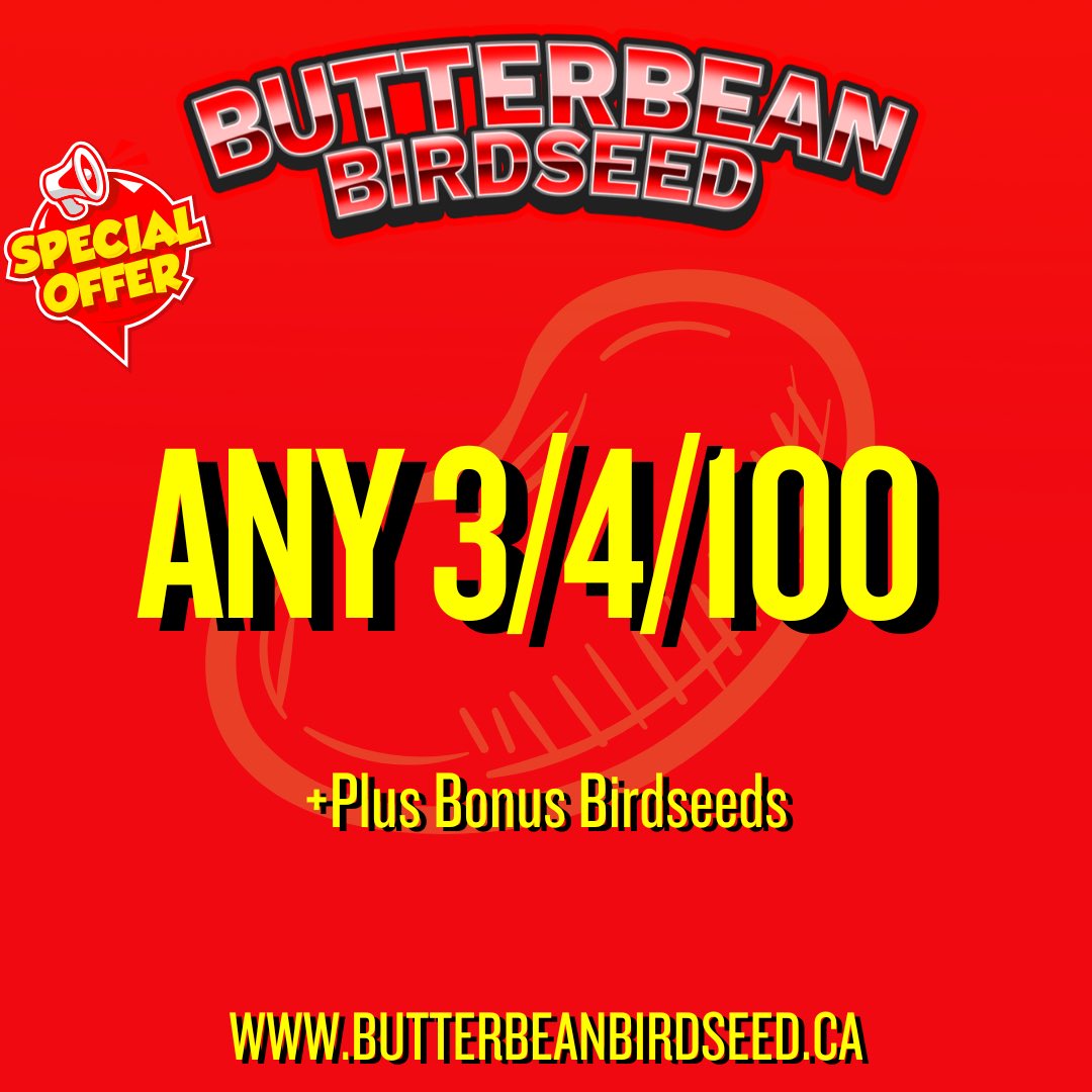 ButterbeanBirdseed.ca tweet media