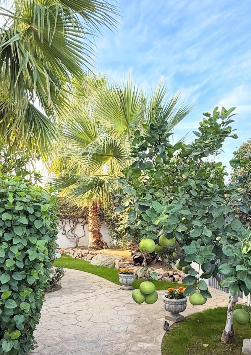 La Quinta 
Coachella Valley Photo! - by laquintaliving