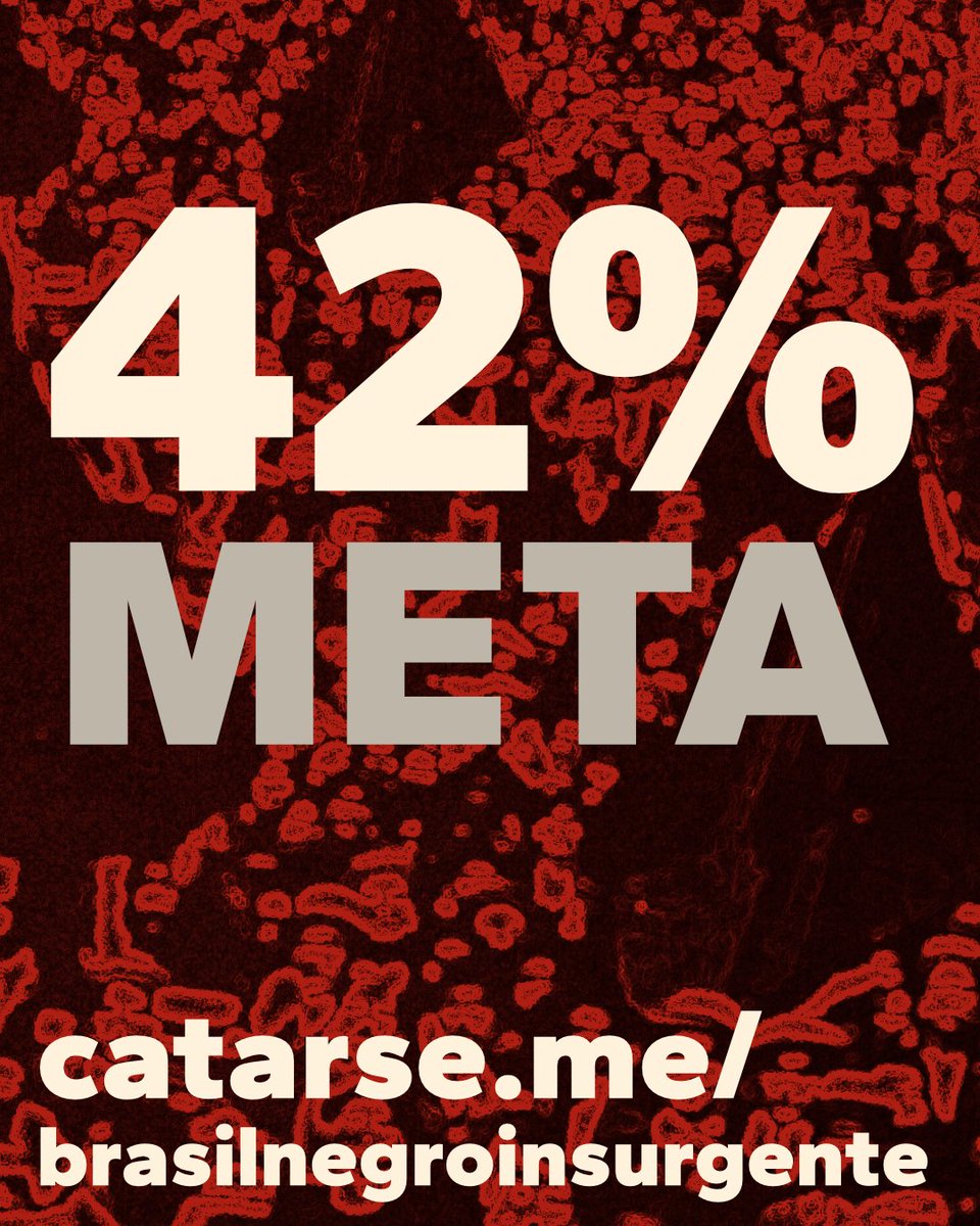 Cada contribuição é um passo para romper o silêncio.
Seguimos construindo, página a página, uma história que não aceita apagamentos.
Obrigado a quem já acreditou nesta caminhada, ainda há muito a conquistar. catarse.me/brasilnegroins…
