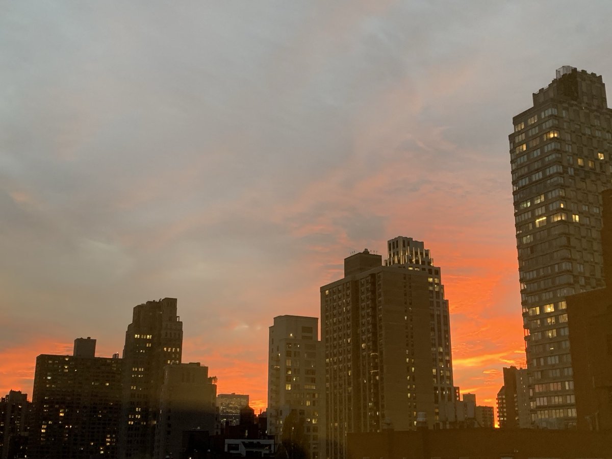 David Markowitz tweet media