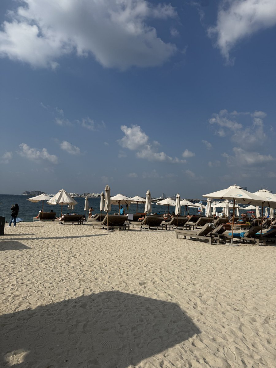 chanel bandit tweet media