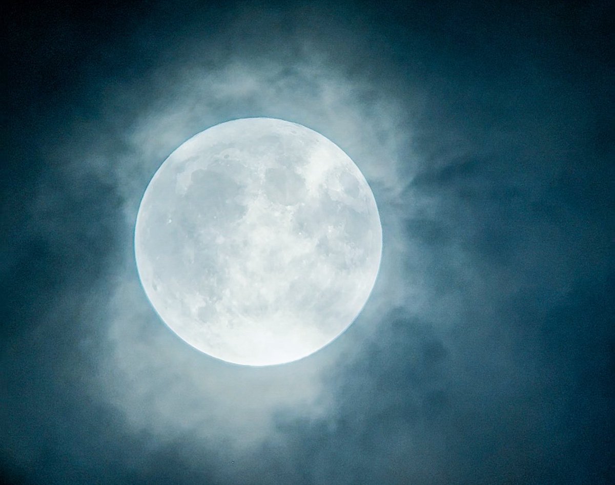 LeoAstral_'s tweet photo. La Luna Llena esta noche. 🦂 https://t.co/lK8Q0UXbyb