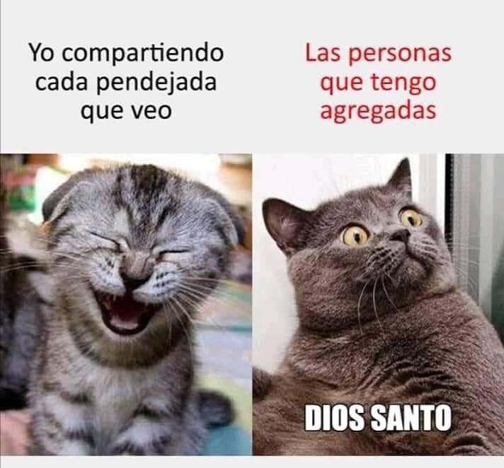 💫La de los Memes SV💫 (@the_memegirlsv) on Twitter photo 