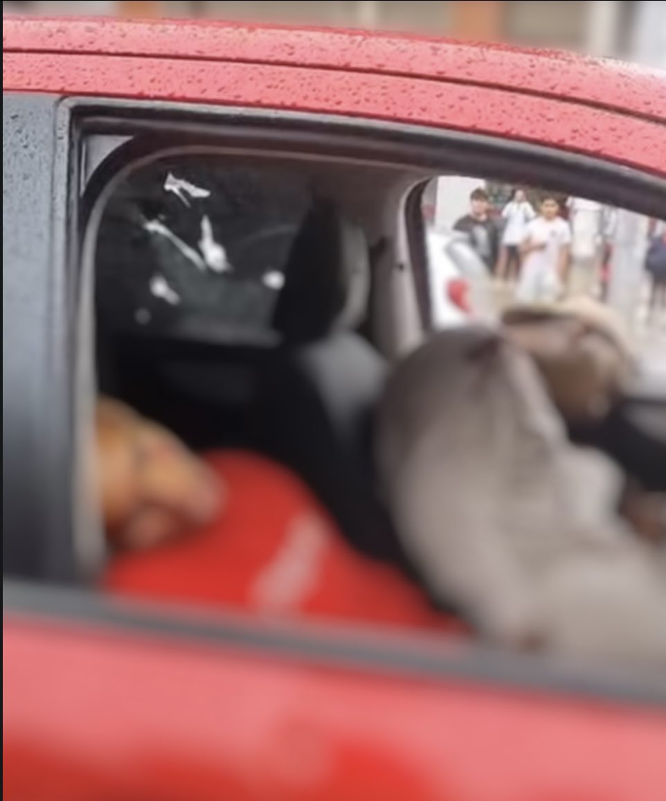 Christian Sánchez Mendieta tweet media