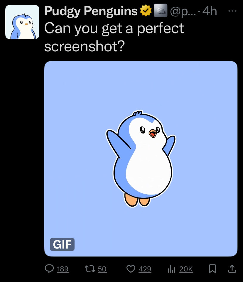 Sethtoshii's tweet photo. @pudgypenguins First time https://t.co/L4TVcIG6Cw