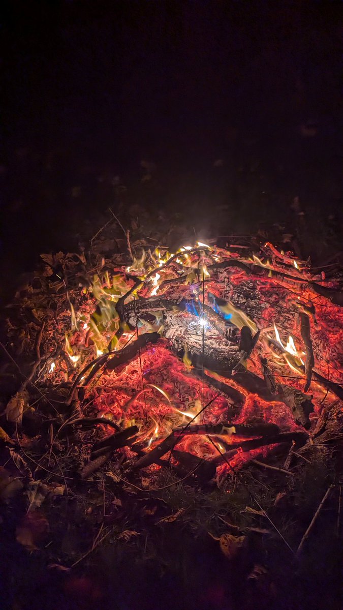 NotBadForHerAge's tweet photo. Our traditional annual family bonfire & (quiet) fireworks display in the field went without a hitch 👍 It appears we had a giant frog in the bonfire (we didn't!) 🔥🎇🐸 #guyfawkes #bonfirenight #fifthofnovember #familytraditions https://t.co/WId5xozd1N