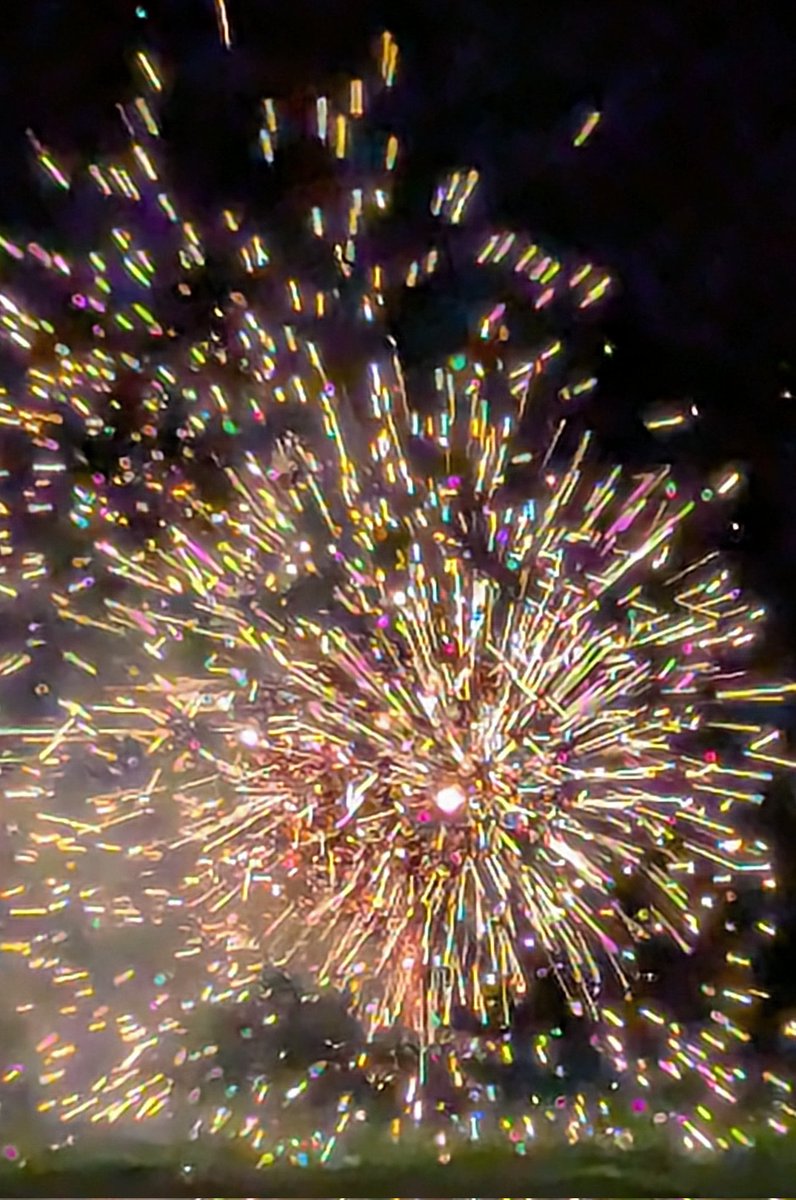 NotBadForHerAge's tweet photo. Our traditional annual family bonfire & (quiet) fireworks display in the field went without a hitch 👍 It appears we had a giant frog in the bonfire (we didn't!) 🔥🎇🐸 #guyfawkes #bonfirenight #fifthofnovember #familytraditions https://t.co/WId5xozd1N