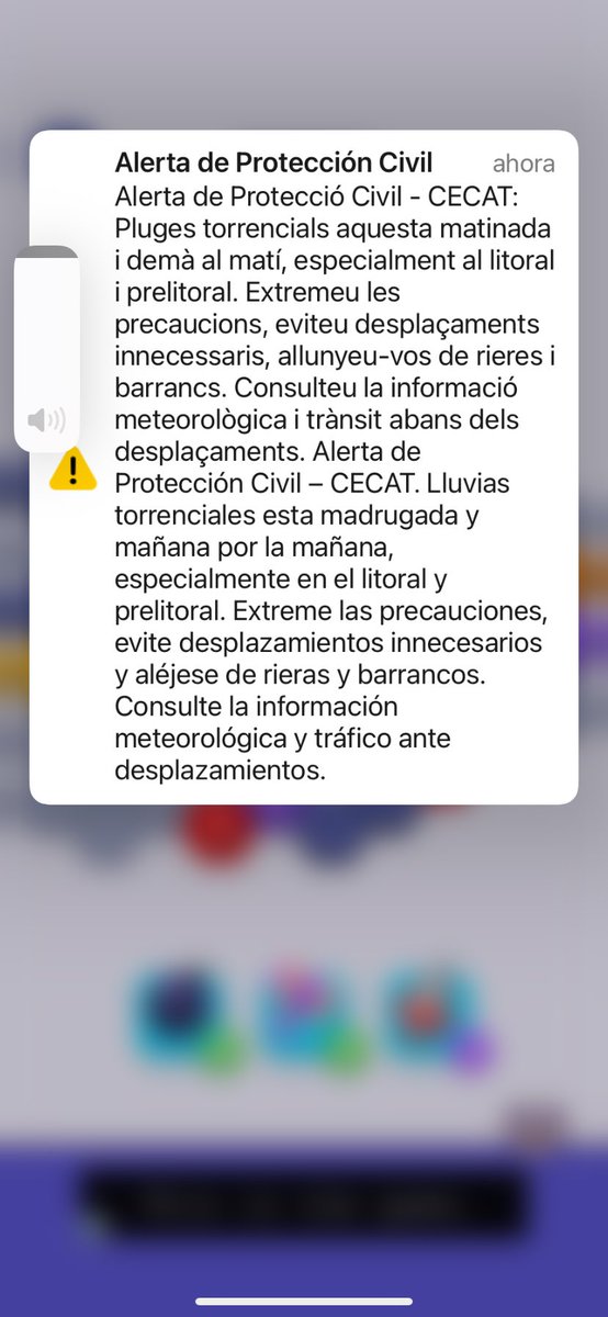 Capidja's tweet photo. @JoelJoanJuve Jo l’he rebut en català / castellà https://t.co/kc4yOOKR7g