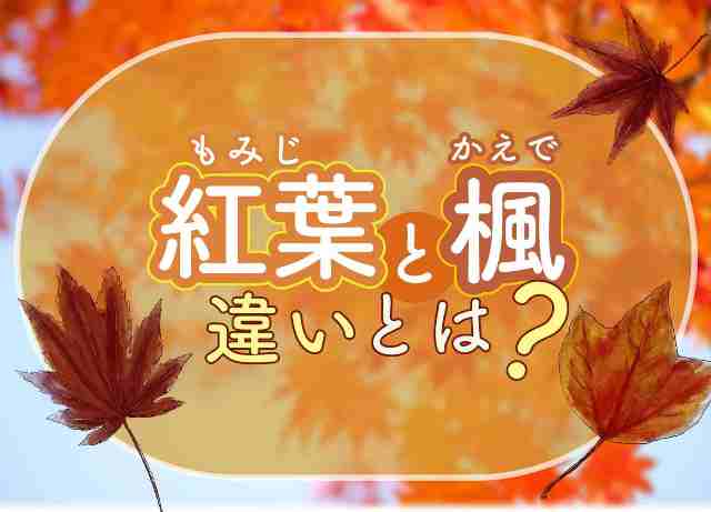 うすろく on X うすろく on X