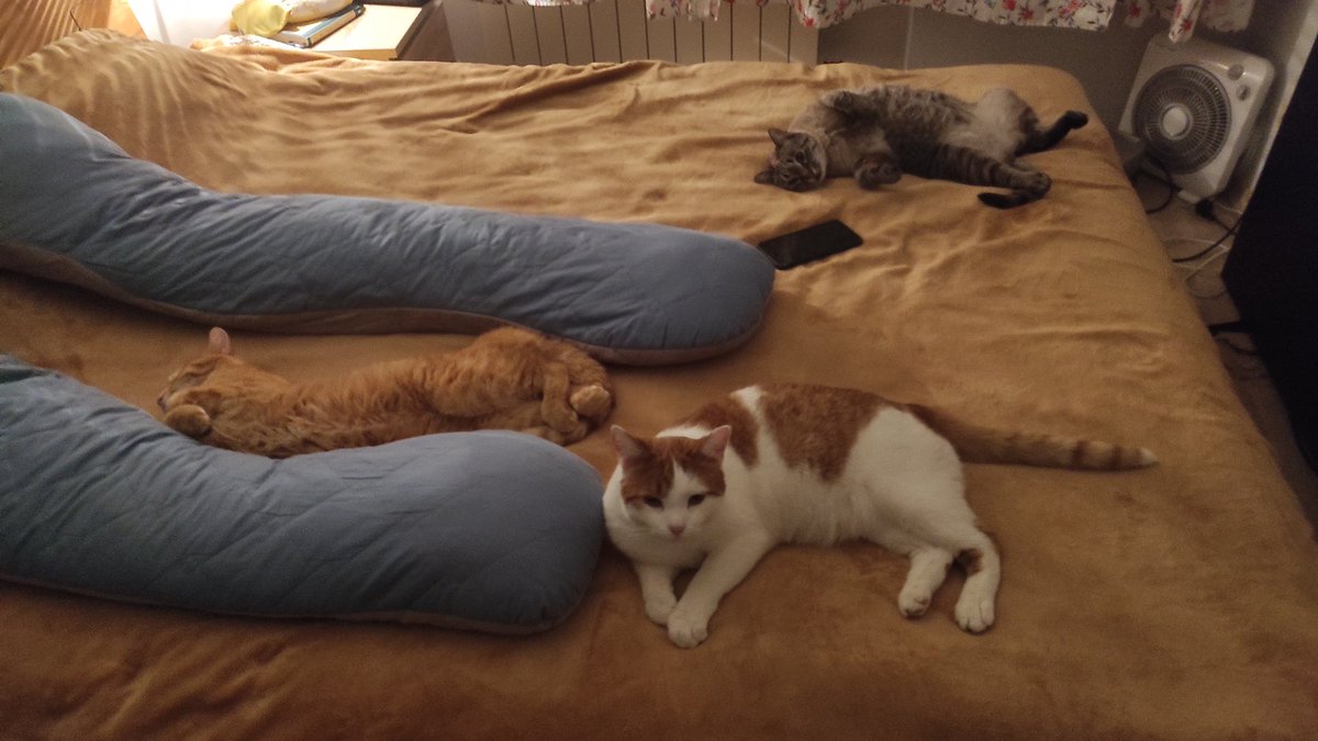 Трикотаж вечірній