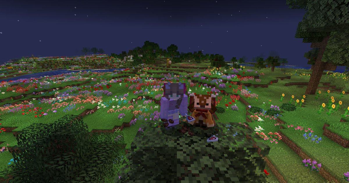 my final stream of mythcraft is over. never did i think i would be crying over minecraft rp but here we are. thank you so much to myth and my wonderful family for all the memories. i have 2 more videos in the making before it's fully over so be on the look out for those! <3