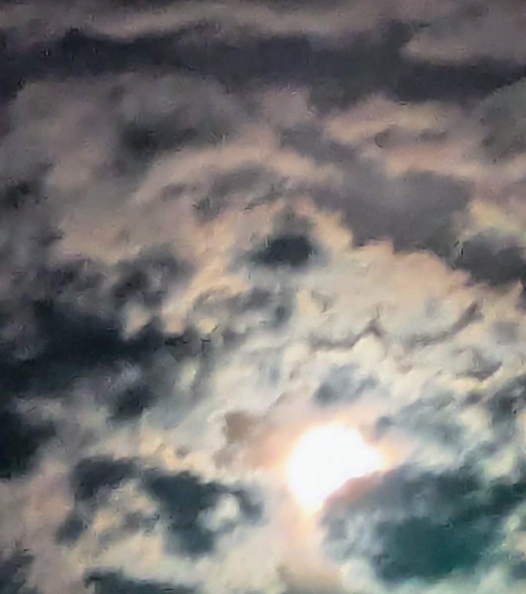 愉快な馬車馬 on X