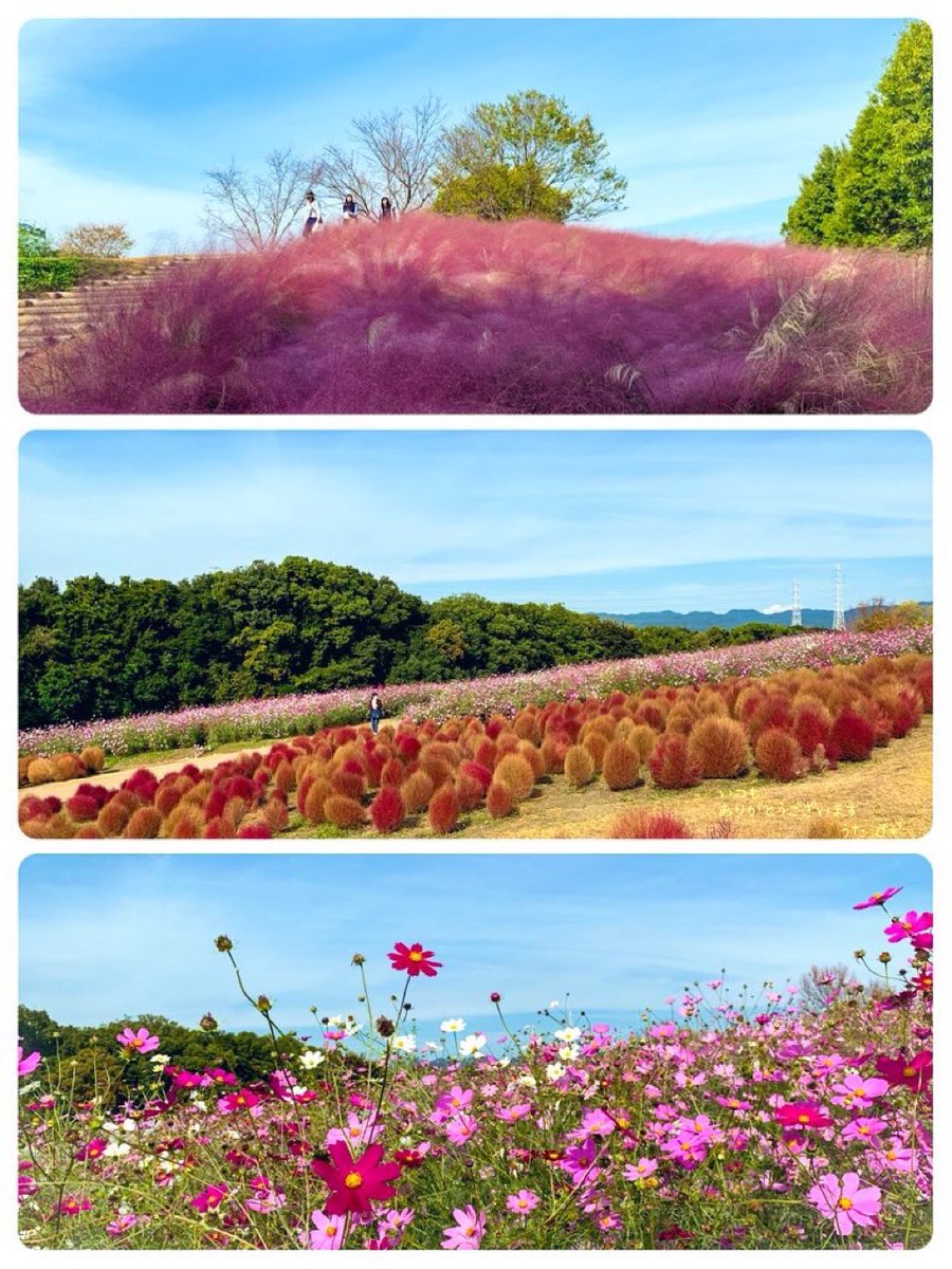 詩乃 .｡うた .:* ♬*゜ (@uta_no_oto_iro) / Posts / X