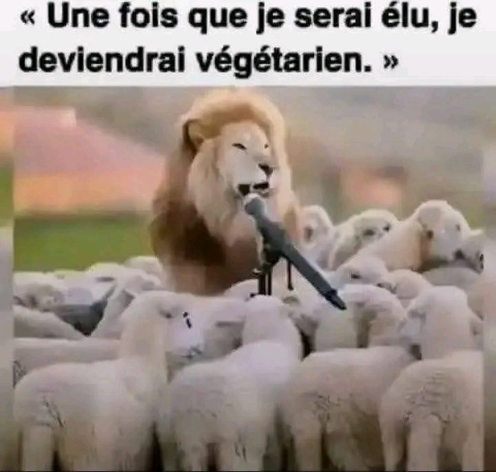 Bonne nuit <a href="/toutlemonde/">toutlemonde</a>