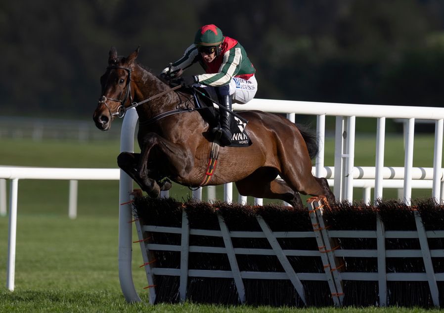 I know it’s early days but who is everyone’s early CHELT NAP🐎⬇️

I’ll start… this tool will be a monster over a fence &amp; the browns will be piece of piss💪🏼