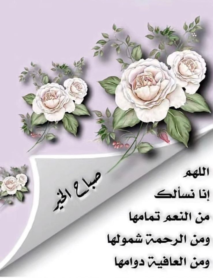 (( عبدالله العاشق )) (@abusalman40) on Twitter photo 
