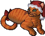 ❄️FIRESTAR🎄 tweet media