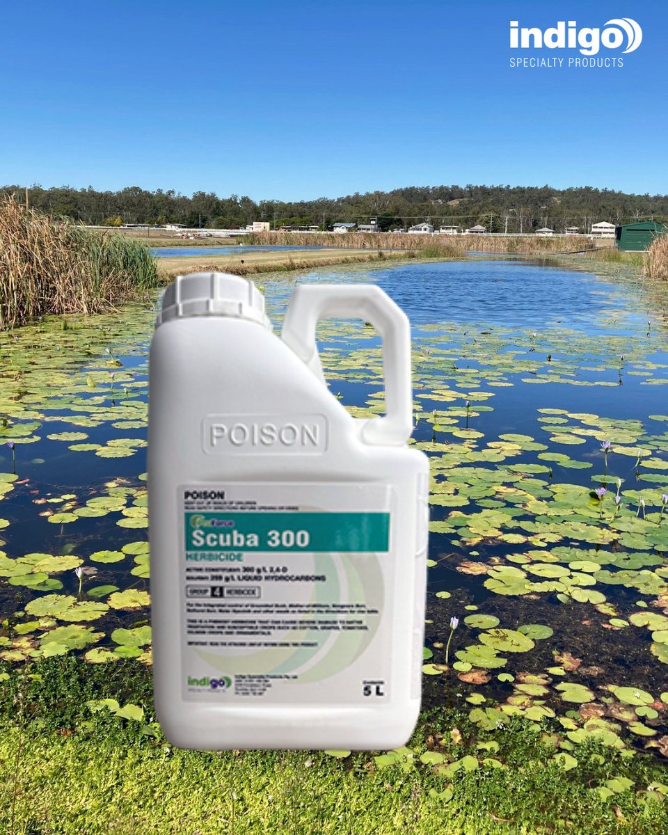 Introducing ProForce® Scuba 300 Herbicide, reliable aquatic and environmental weed control, on land and in water. With 300g/L 2,4-D, Scuba 300 delivers proven systemic control of broadleaf weeds and is uniquely registered for both aquatic and terrestrial use.