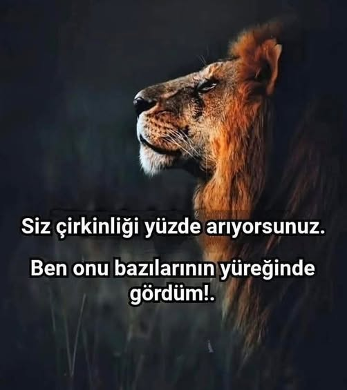 B_Y-CAN (@b_ycan) on Twitter photo 