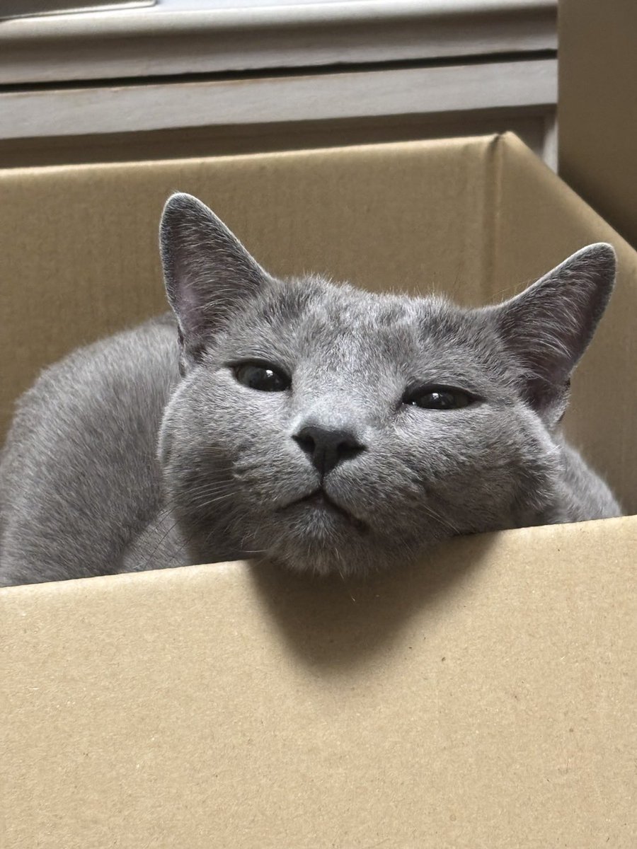 山本裕介＠STAND BY YOU (@nutszero1) / Posts / X