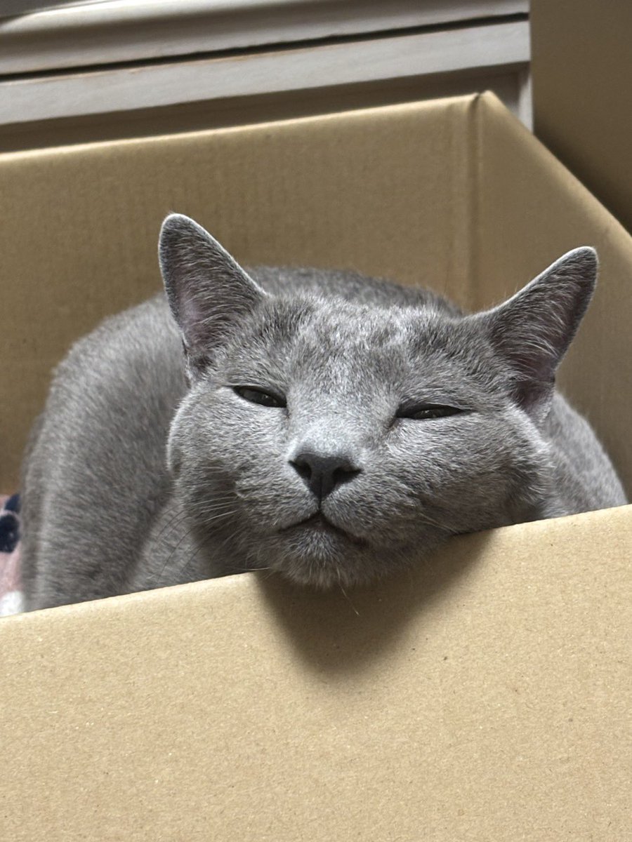 🍩山本亜衣🍩 tweet media