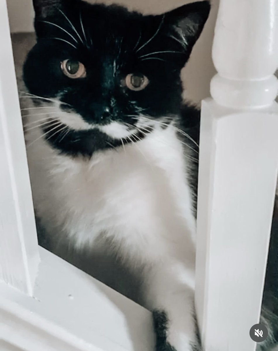 When you have to do what’s right 🌈🌈💔💔