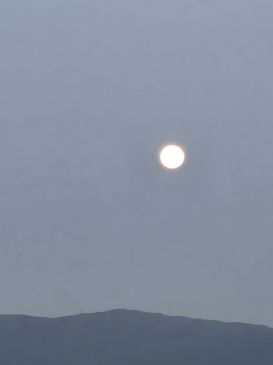 y*o様 フルムーン　大株　10/26 26660BC.ZZ.1356BC.01 ロイヤル オーク フライング トゥール