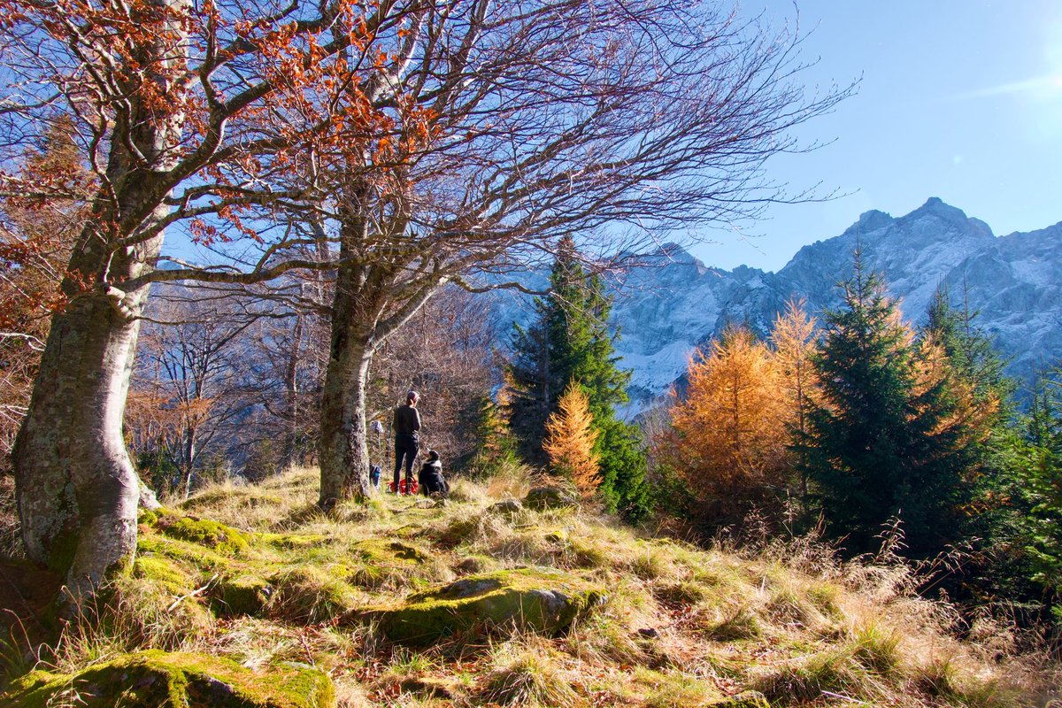 ExploringSlo's tweet image. After seeing all the beautiful, colorful photos from the Julian and Karavanke Alps, we just had to check whether autumn had arrived in Jezersko as well!
Yep — it’s there in full swing… and absolutely gorgeous!