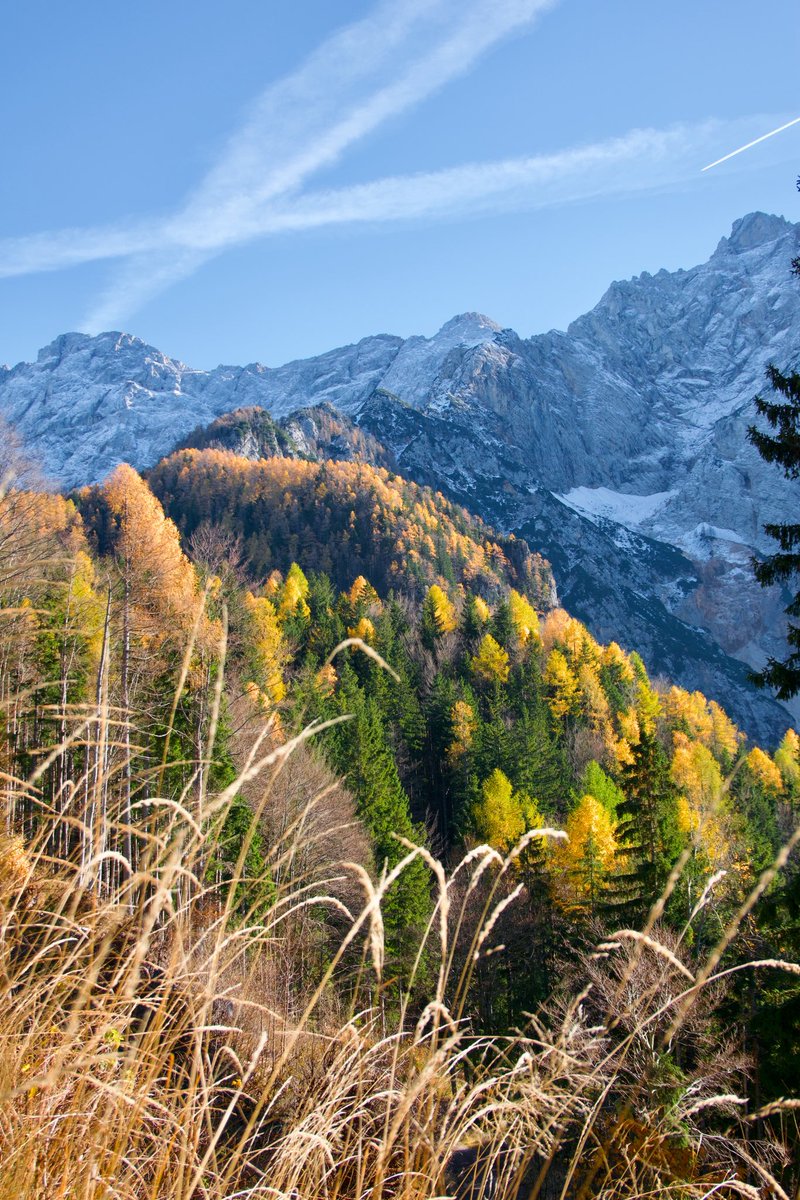 ExploringSlo's tweet image. After seeing all the beautiful, colorful photos from the Julian and Karavanke Alps, we just had to check whether autumn had arrived in Jezersko as well!
Yep — it’s there in full swing… and absolutely gorgeous!