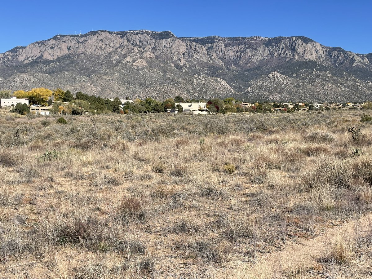 Howtobefit's tweet image. Mid-week hike with my daughter Grace, with almost 500&apos; of elevation gain, and temperatures 10 degrees above normal. I included a photo from my run on November 5th, 2024, for comparison!