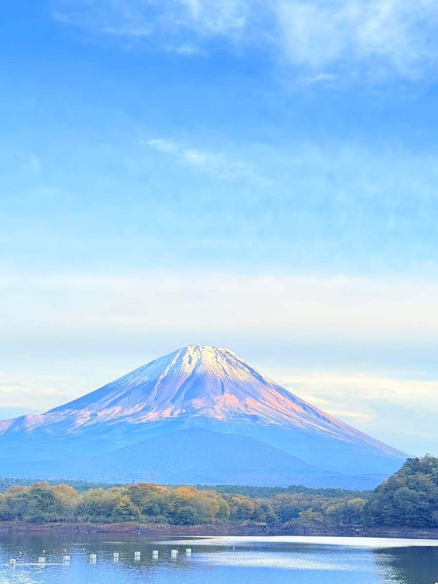 皆さん、おはようございます😺
今日も✨よろしくお願いします
雨は降らないけど☁️の多い
天気です😸💦
良い一日をお過ごし下さい‼️