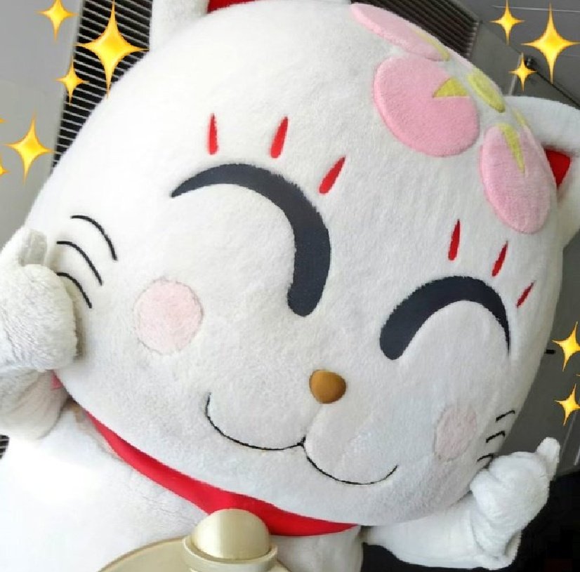 追い出し猫サクラ🍰(゜∇^🌸)公式 (@masa5539xyz) / Posts / X