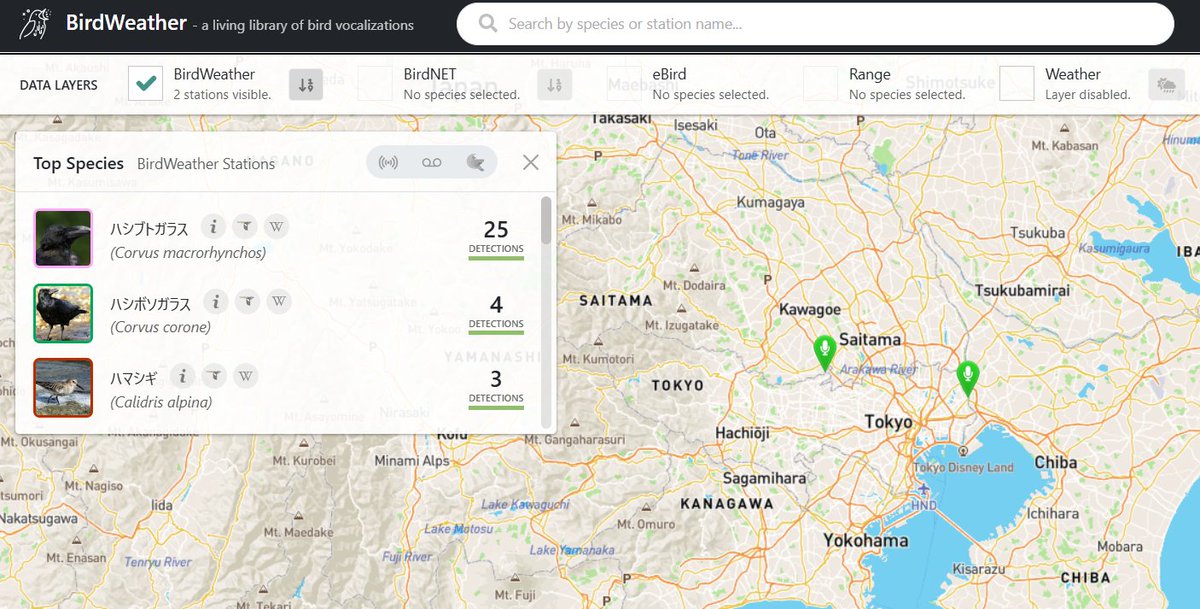 safehouse10's tweet image. 3か月ぶりにBirdWeatherにKIYOSE-point復活、大幅な改良があったので、OSから入れ替え必要だった。山梨も復活させないと。#birdnet