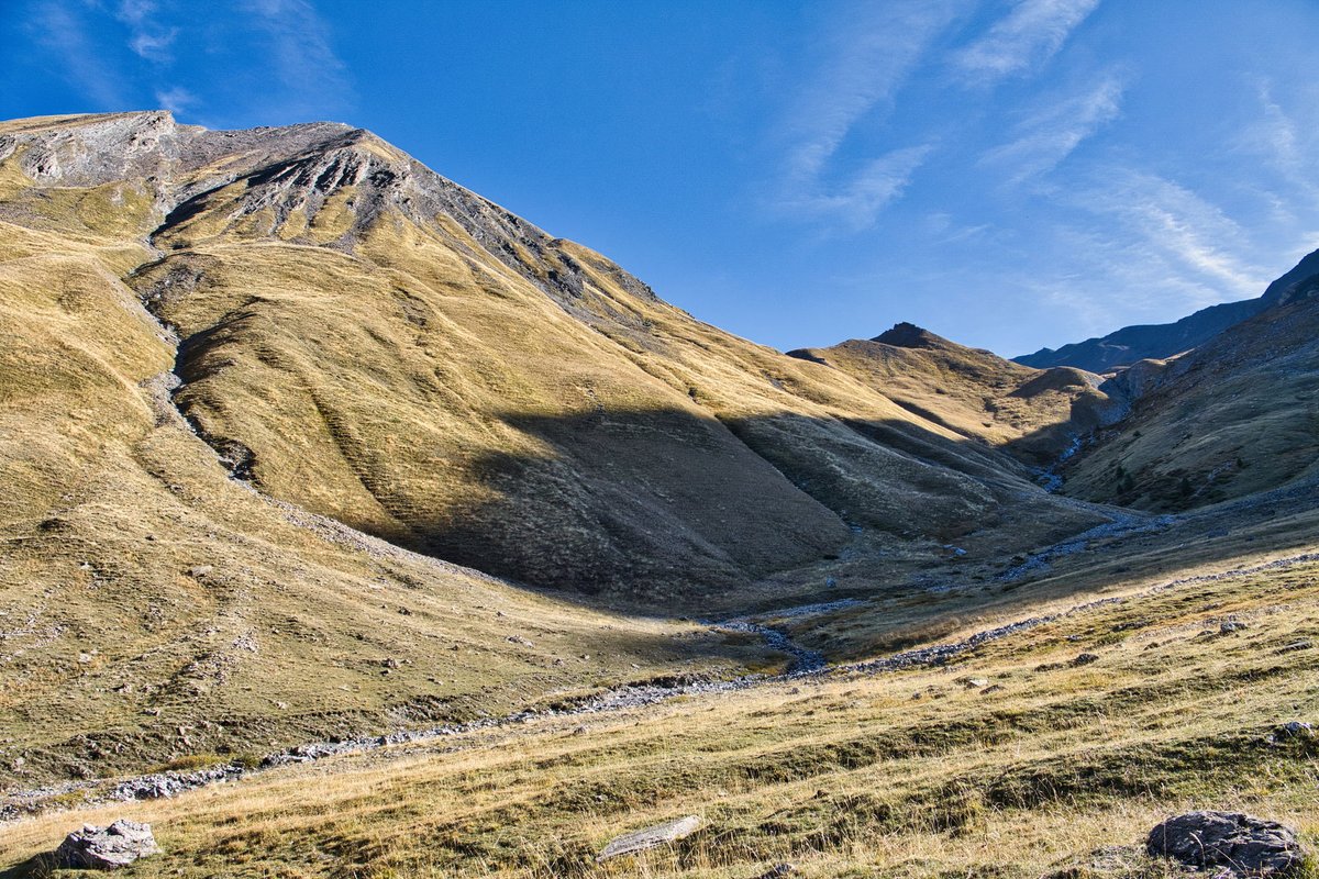 Franck Rando tweet media