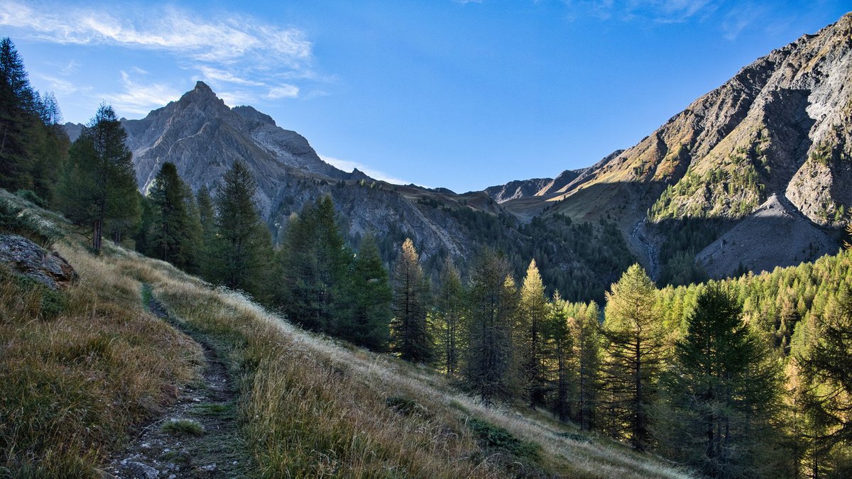 Franck Rando tweet media