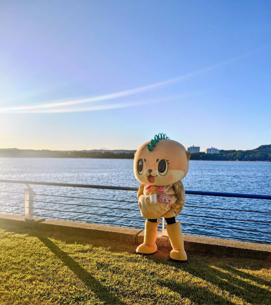 ちいたん☆ (@mickeyentry) / Posts / X