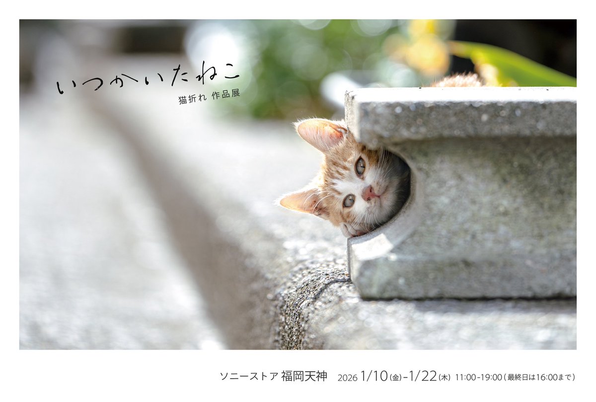 MARCO 🟡写真集「メイ先輩」🟡 (@marco74444) / Posts / X