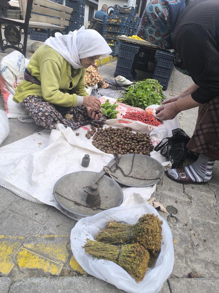 <a href="/sonmezu/">uğur sönmez</a>